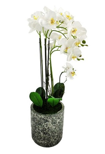 Artificial Large Phalaenopsis Orchid - Cement Vase - White