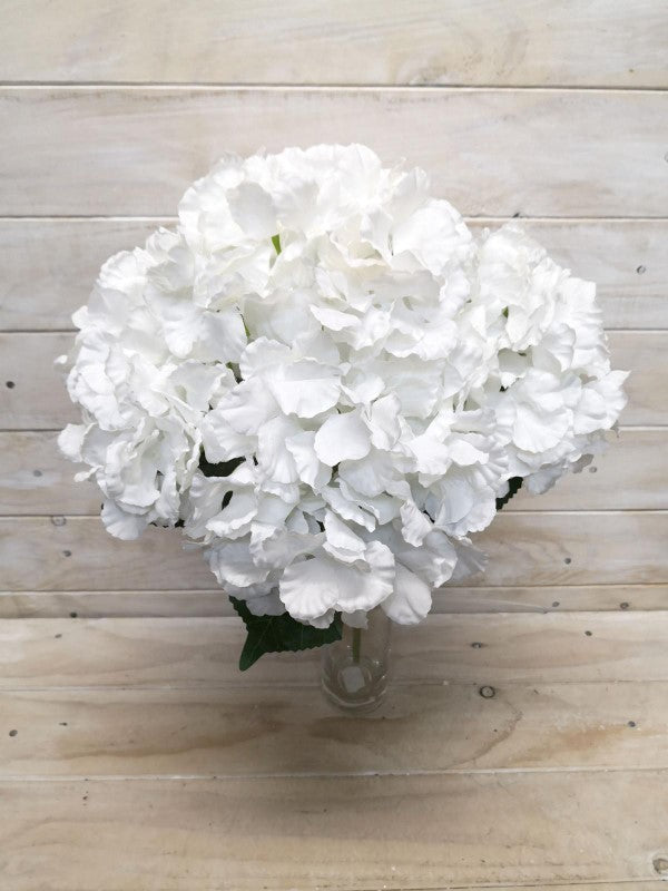 Large White Hydrangea Bush