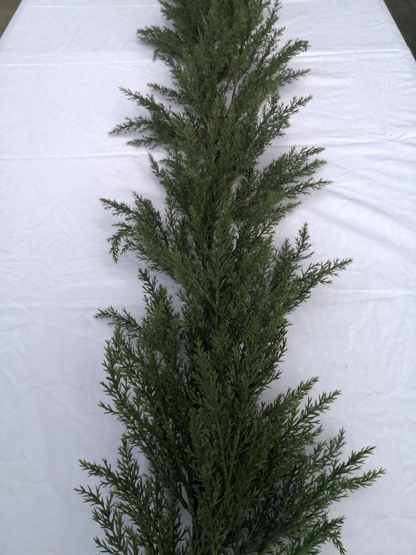 Artificial - 2 Mtr Cypress Garland