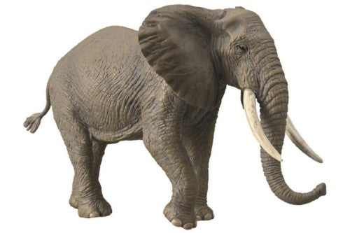 Figurine - African Bush Elephant - Collecta