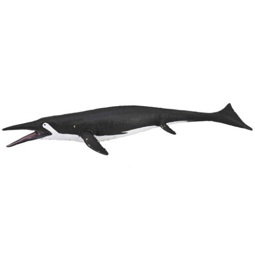 CollectA Shastasaurus Large figurine, hand-painted black and white, represents a Triassic marine reptile for collectors and kids.