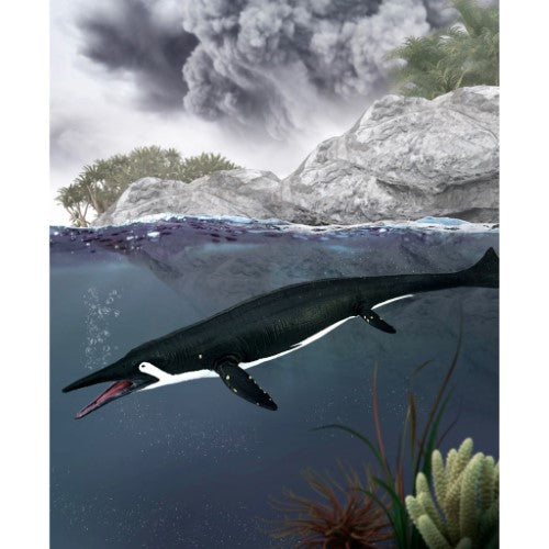 CollectA Shastasaurus Large figurine, a hand-painted, detailed marine reptile model in striking black and white, measuring 25x3 cm.