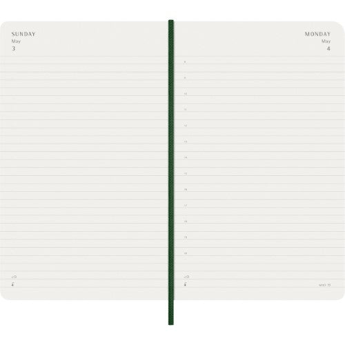 Moleskine Diary 12 Month Daily SC Large Myrtle Green 2026