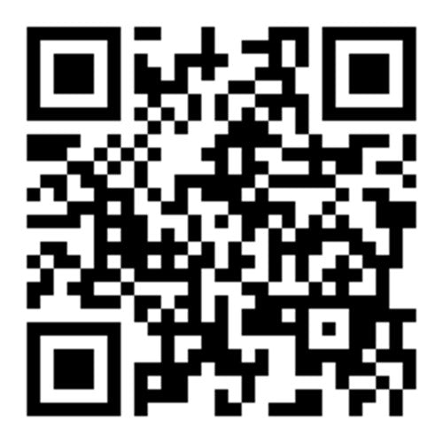 Animatronics Witch with Cane