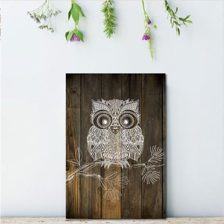 Kiwiana wall art featuring a Morepork owl, printed on eco-friendly plywood, perfect for nature-inspired decor.