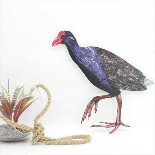 Kiwiana wall art featuring a Pukeko bird looking left, showcasing vibrant colors on durable aluminium composite material.