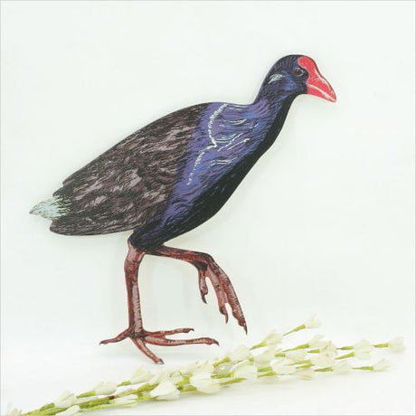 Kiwiana Wall Art featuring a vibrant Pukeko bird, perfect for home decor, printed on durable aluminium composite material.