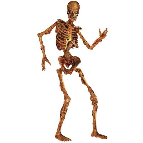 Beistle Jointed Zombie Skeleton, 180cm tall Halloween decoration with movable joints for an eerie and spooky atmosphere.