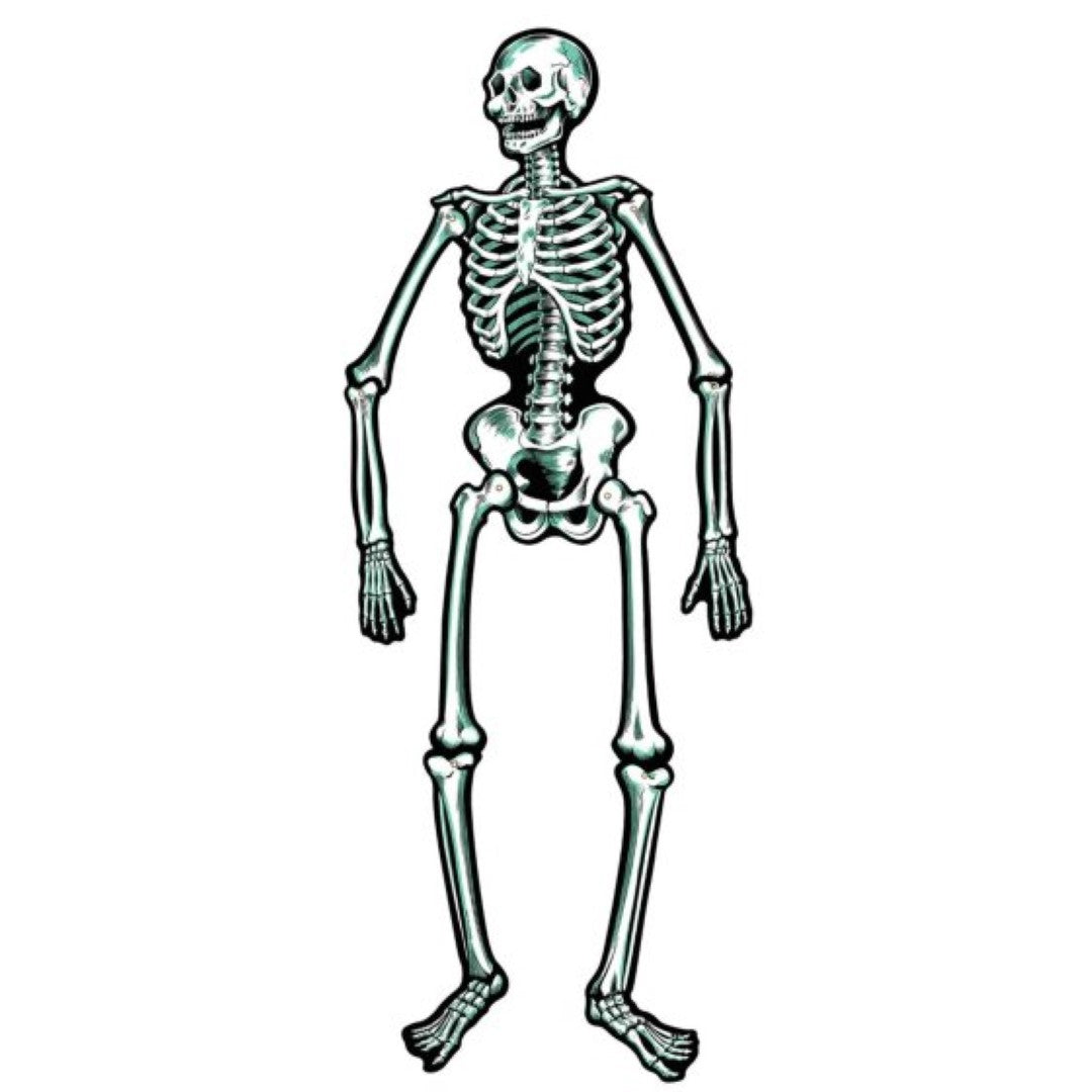Pack of 2 Beistle jointed skeletons, 56cm each, perfect for Halloween décor and flexible positioning in any setting.