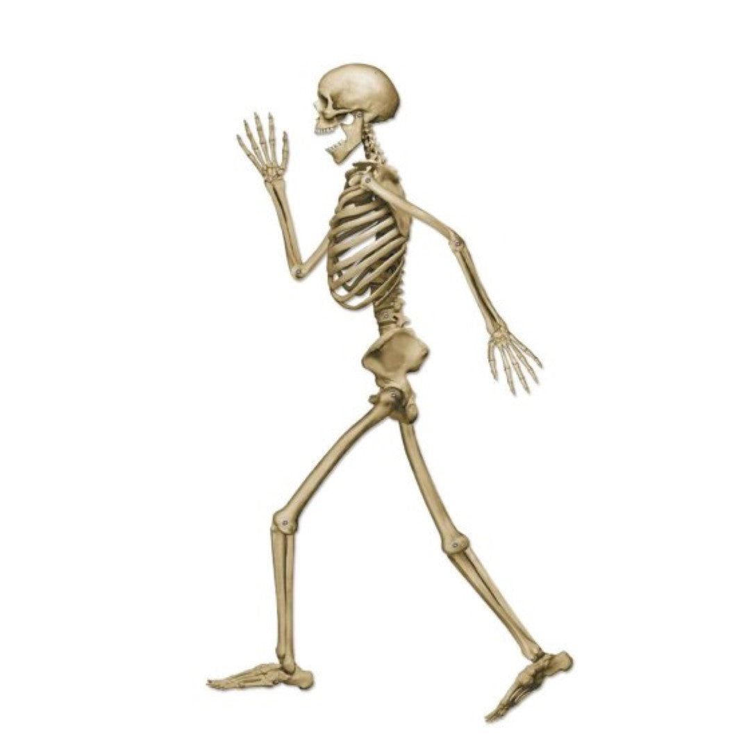 95cm jointed skeleton decoration with movable limbs, perfect for Halloween parties and spooky home décor.