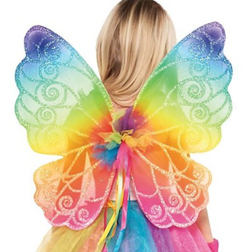 Colorful 48cm glittered fairy wings designed for dress-up and imaginative play.