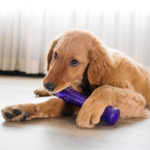 Dog Toy - KONG Squeezz Crackle Stick Med