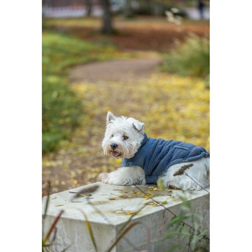 Dog Clothing - Ajou Coat S: 40cm Blue