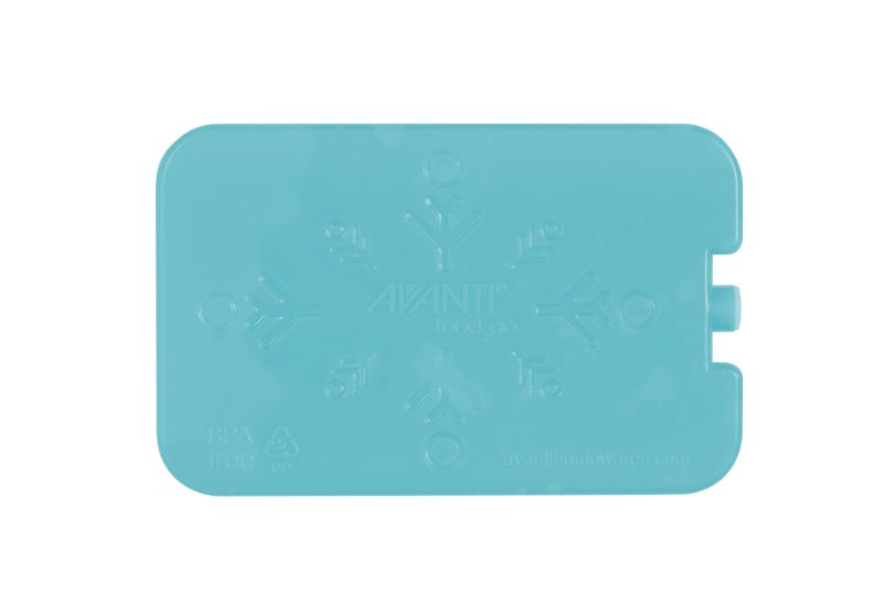 Avanti Gel Ice Brick Set of 2 Set of 8