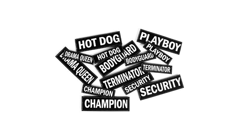 EzyDog Side Patch CV S BIG DOG