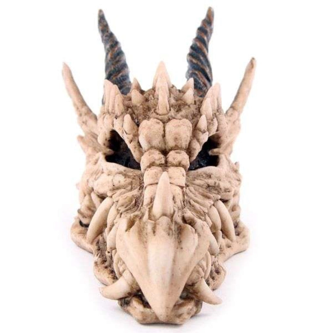 Money Box - Dragon Skull (19cm)