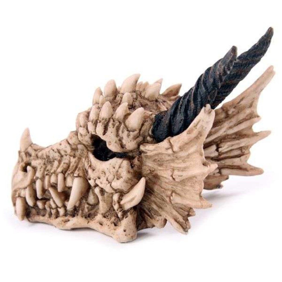 Money Box - Dragon Skull (19cm)