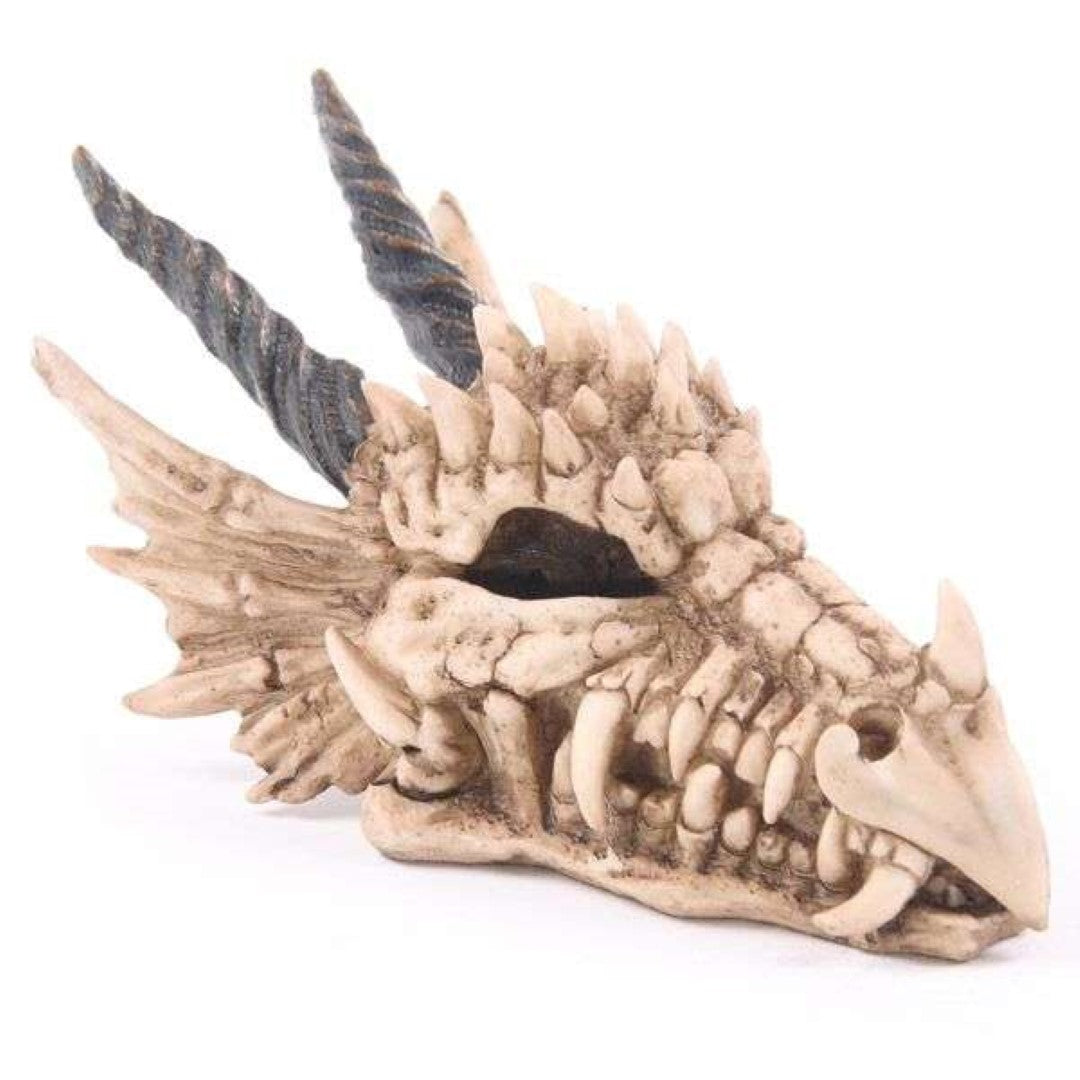 Money Box - Dragon Skull (19cm)