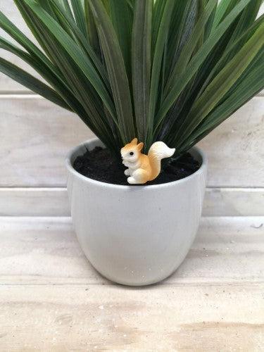 Squirrel Pick