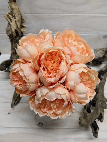 Artificial 6 Head Peony Posies (Peach)