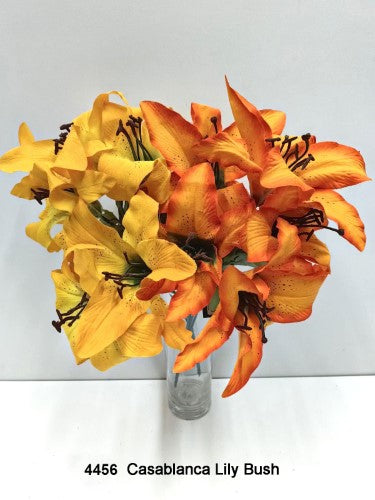 Lily Bush - Casablanca
