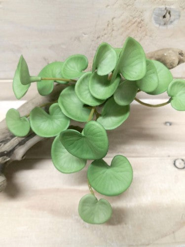 Artificial Pilea Peperomioides Plant (Green)