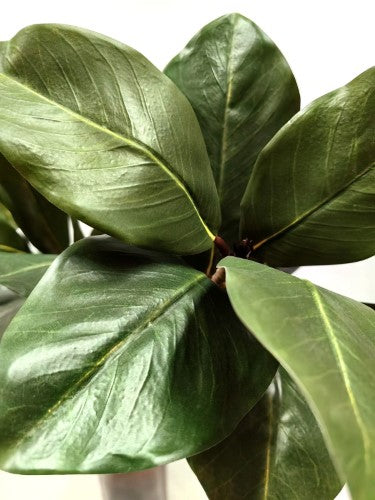 Artificial Large Magnolia Leaf Spray X 2 (Green)