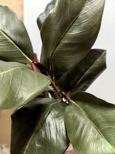 Artificial Large Magnolia Leaf Spray X 2 (Green)