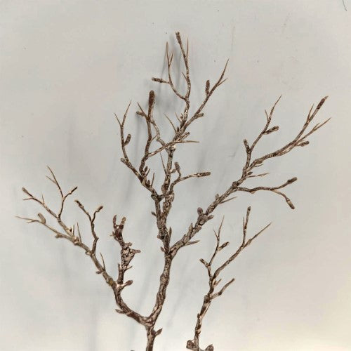 Artificial Twig Spray - 47cm (Brown White)