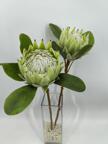 Artificial Large King Protea (Green)