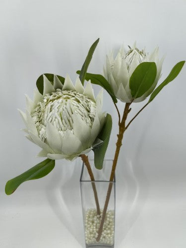 Artificial Large King Protea (White)