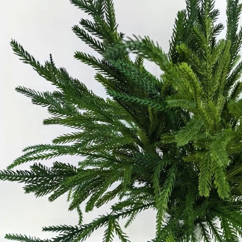 Artificial Norfork Pine Spray - 30cm (Green)