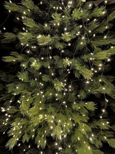Firecracker Green String with 100 Warm Lights (3M)