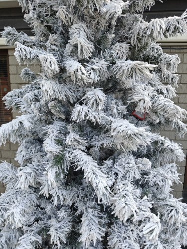 Artificial Snow Drooping Pine Christmas Tree With 900 warm Lights (10')