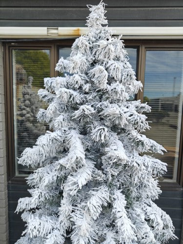 Artificial Snow Drooping Pine Christmas Tree With 900 warm Lights (10')