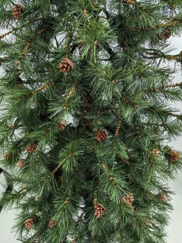 Needle Pine Christmas Tree with Cones & 200 LED Lights - 6'