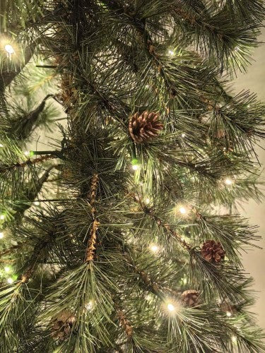 Needle Pine Chriastmas Tree with cones & 160 Multi Function LED Lights & 316 Tips - 5'