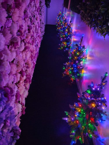 Multi Purpose Pathway Christmas tree with 100 LED Warm & Multi Lights - 3'