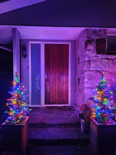 Multi Purpose Pathway Christmas tree with 100 LED Warm & Multi Lights - 3'