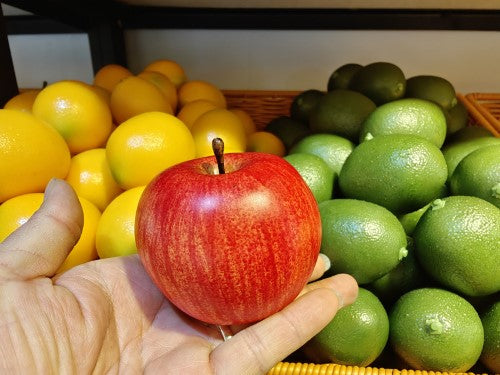 Ornament - Weighted Apple/Royal Gala (Small)