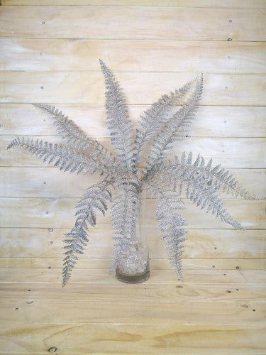 Glitter Fern Bush (Silver)