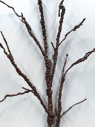 Artificial Branch (Brown)