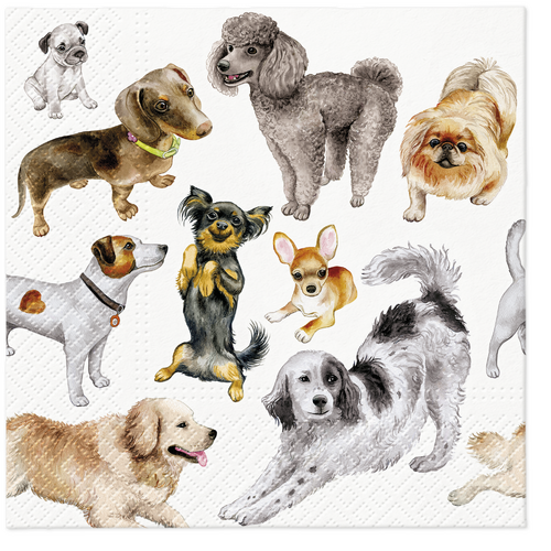Lunch Napkin - Paw Décor Dogs Happiness (33cm)