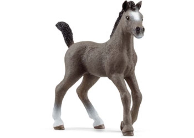 Schleich - Selle Francais Foal
