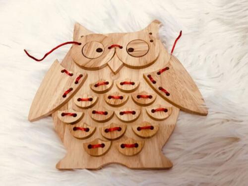 Lacing Owl