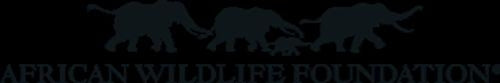 Word Teasers African Wildlife Challenge (Display Box 16)