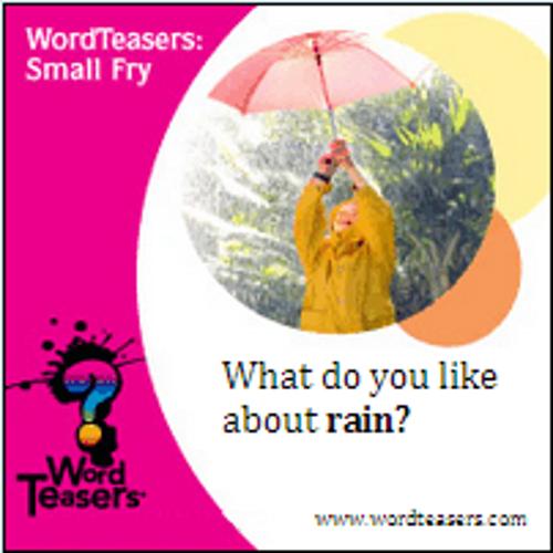 Word Teasers Small Fry