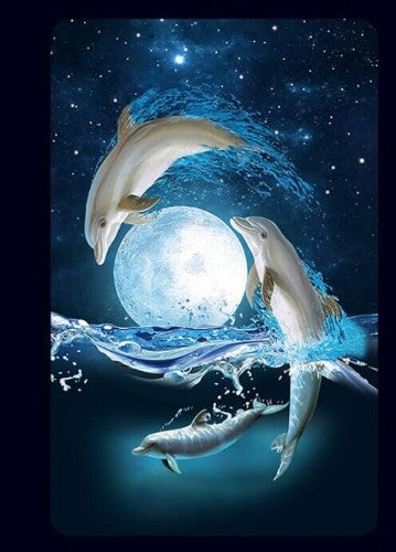 Notebook - 3D (Dolphins)