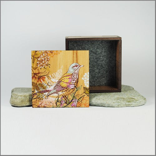 Small trinket box crafted from NZ Silver Beech veneer with a printed bird design, perfect for organizing cherished keepsakes.