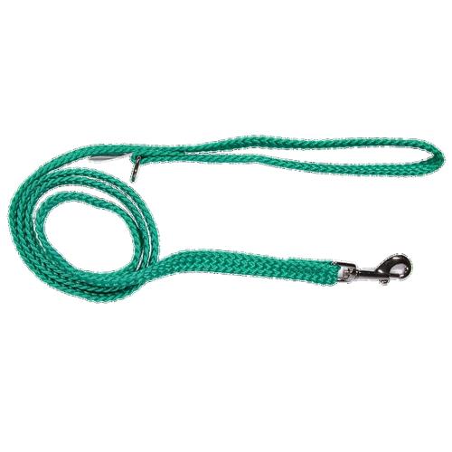 Double Nylon Webbing Dog Lead – Beau Pets 10mm x 90cm Green